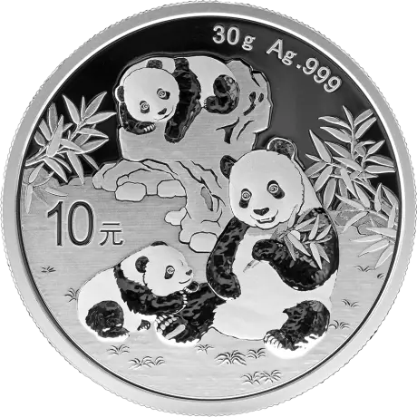 Stříbrná mince Panda 2026, 30 g