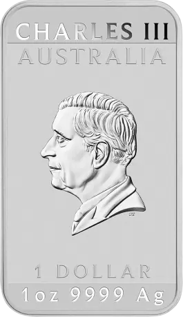 Stříbrná obdélníková mince Drak 2025, 1 oz