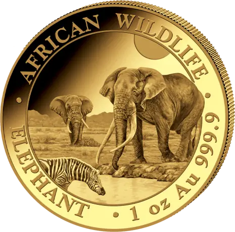Zlatá mince Slon Somálský 2026, 1 oz