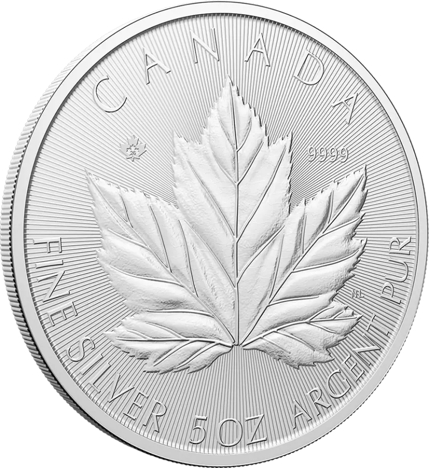 Stříbrná mince Maple Leaf 2026, 5 oz