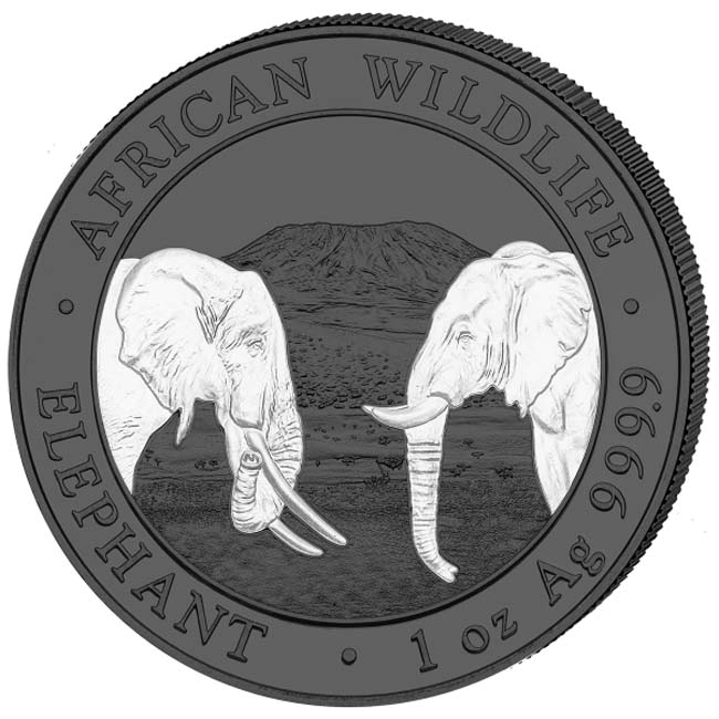 Africká divočina: Slon 2020, sada stříbrných mincí v etuji, 2 oz