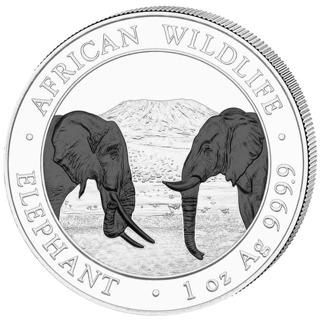 Africká divočina: Slon 2020, sada stříbrných mincí v etuji, 2 oz