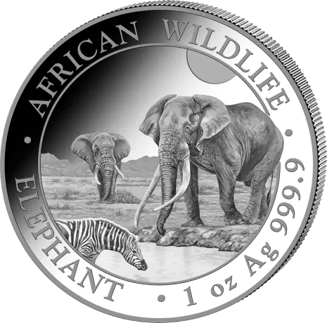 Stříbrná mince Slon Somálský 2026, 1 oz